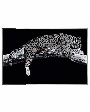 Panneau, peinture LEOPARDO