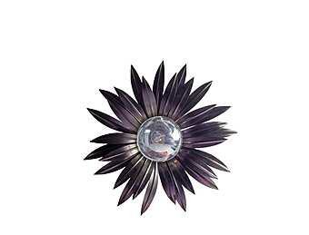 Spot Light Daytona 00037