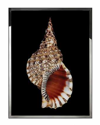 Panneau, peinture TRITONIS