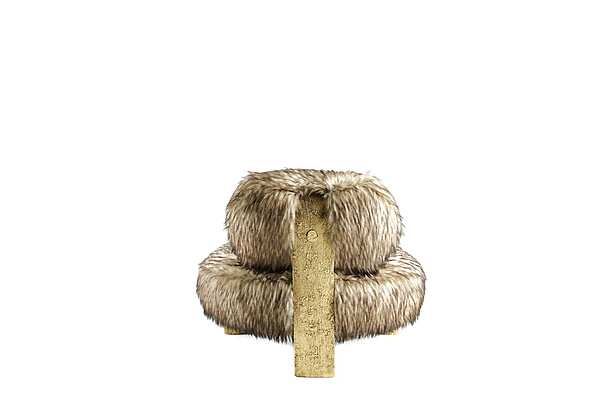 Fauteuil ROBERTO CAVALLI TOULOU usine ROBERTO CAVALLI de l'Italie. Foto №6