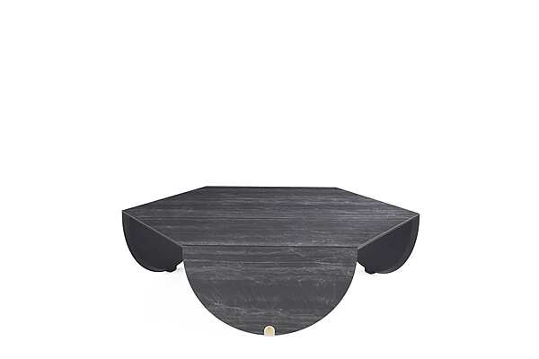 Table basse ROBERTO CAVALLI INAGUA usine ROBERTO CAVALLI de l'Italie. Foto №3