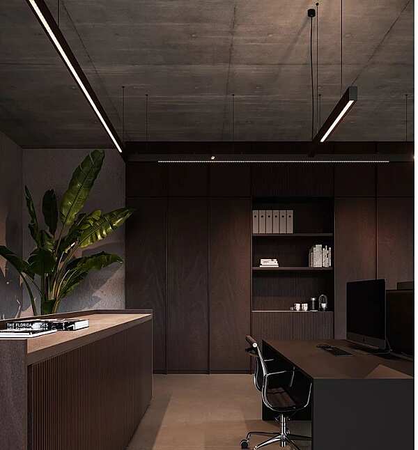 Lustre DELTALIGHT Omniliner usine DELTALIGHT de l'Italie. Foto №4