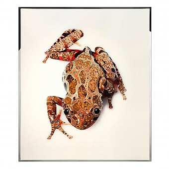 Panneau, peinture RANA
