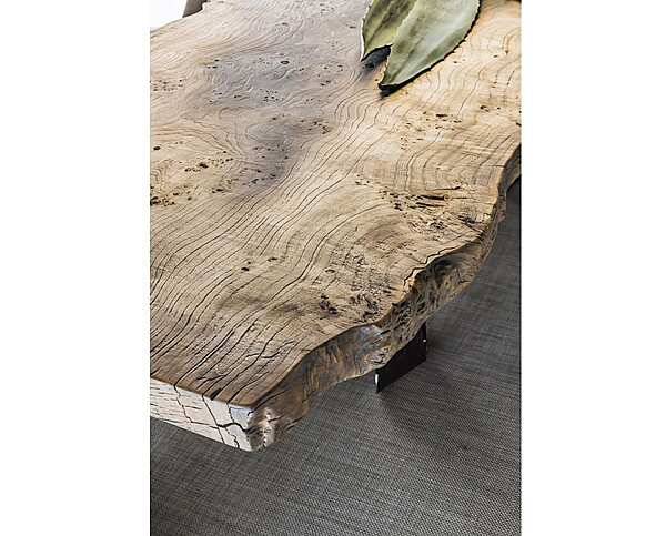 Table rectangulaire en bruyère Bizzotto Italia collection usine Bizzotto Italia de l'Italie. Foto №7