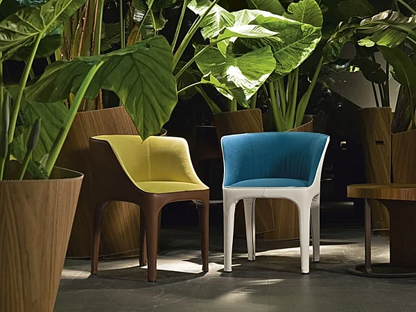 Chaise avec accoudoirs en bois GIORGETTI DIANA 70700, 70701 usine GIORGETTI de l'Italie. Foto №6