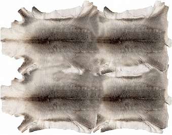 Tapis RUDOLPH