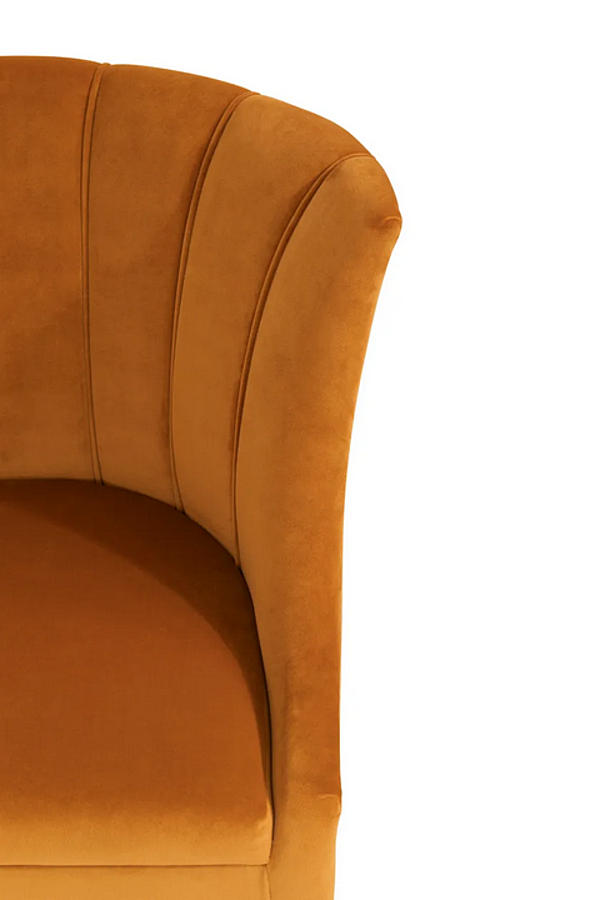 Chaise en velours rembourrée Begonia BRABBU usine BRABBU de l'Italie. Foto №7