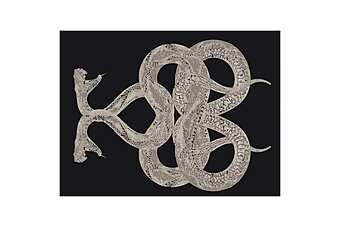 Tapis ROBERTO CAVALLI SNAKE Tapis ROBERTO CAVALLI SNAKE usine ROBERTO CAVALLI de l'Italie
