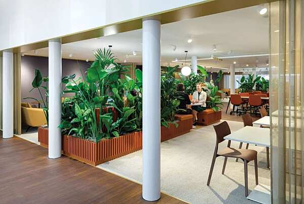 Bras DELTALIGHT Oono usine DELTALIGHT de l'Italie. Foto №4