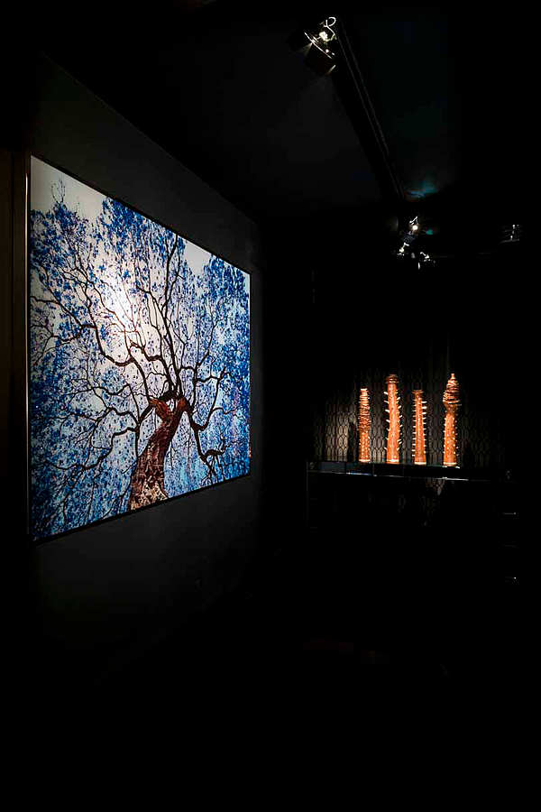 Panno, peinture par le VISIONNAIRE (IPE CAVALLI) Tree of Dreams usine VISIONNAIRE (IPE CAVALLI) de l'Italie. Foto №2