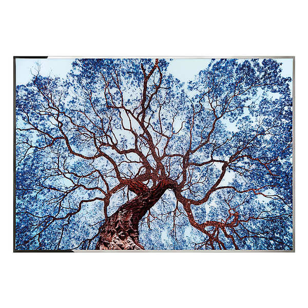 Panno, peinture par le VISIONNAIRE (IPE CAVALLI) Tree of Dreams