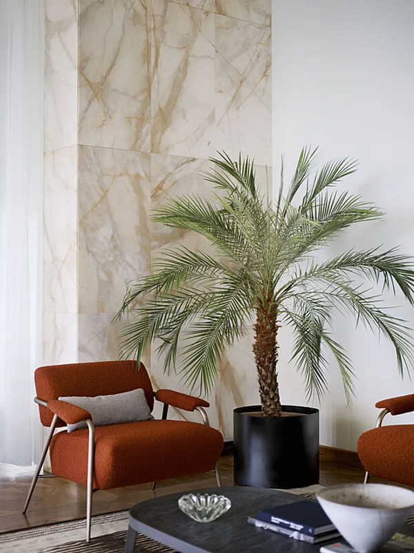 Fauteuil en tissu avec accoudoirs Potocco Stay 909 PL 909/PL usine POTOCCO de l'Italie. Foto №3